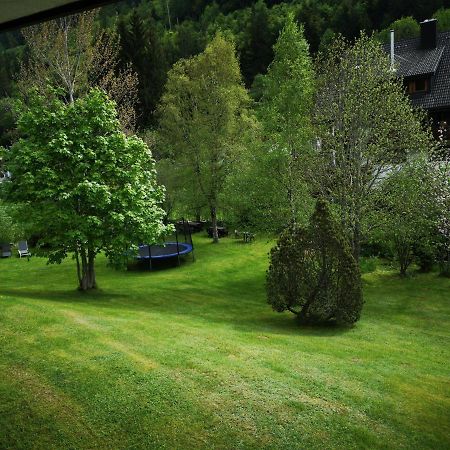 B1 Albmatte-Fewo Sauna, Hallenbad Aussenbecken Massagen Nebenan Menzenschwand-Hinterdorf 외부 사진