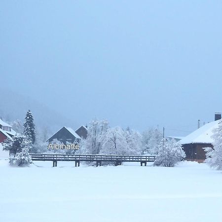 B1 Albmatte-Fewo Sauna, Hallenbad Aussenbecken Massagen Nebenan Menzenschwand-Hinterdorf 외부 사진