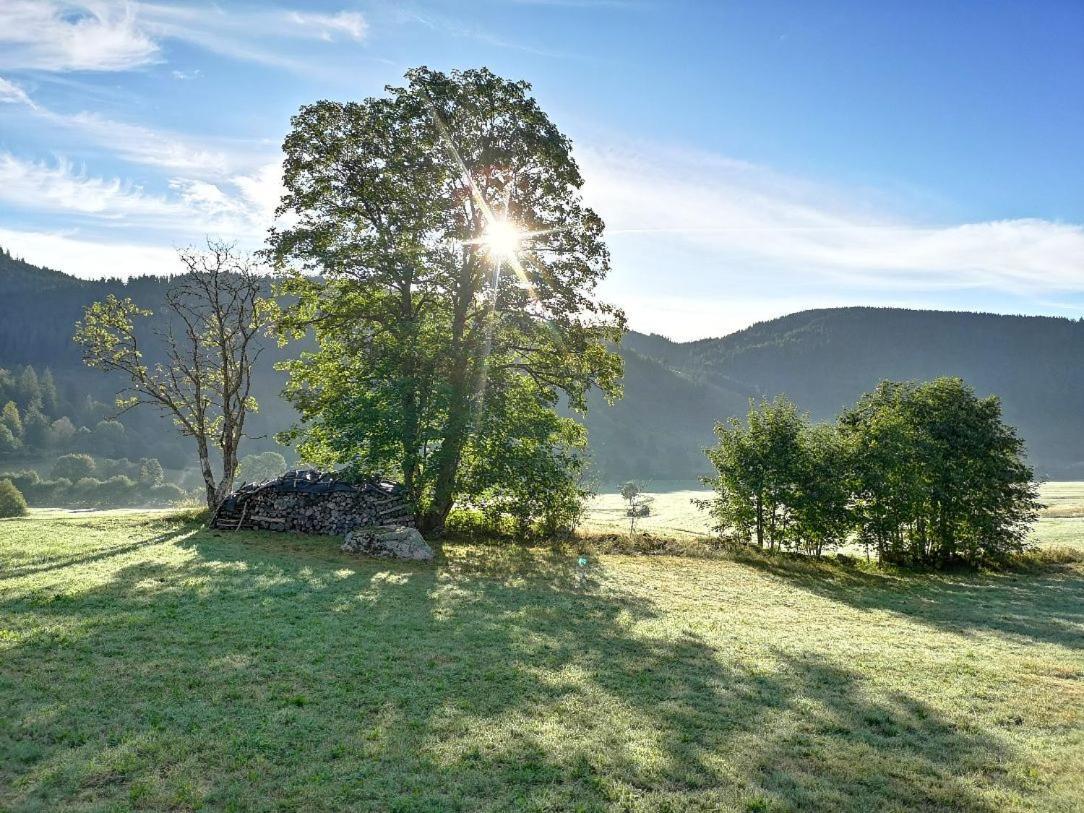 B1 Albmatte-Fewo Sauna, Hallenbad Aussenbecken Massagen Nebenan Menzenschwand-Hinterdorf 외부 사진