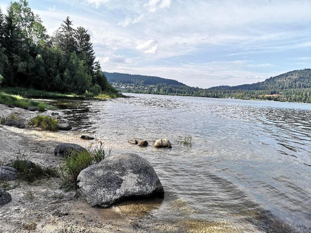 B1 Albmatte-Fewo Sauna, Hallenbad Aussenbecken Massagen Nebenan Menzenschwand-Hinterdorf 외부 사진