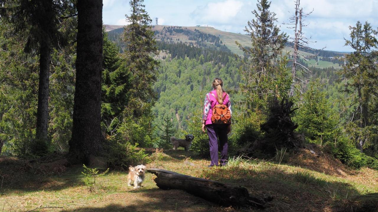 B1 Albmatte-Fewo Sauna, Hallenbad Aussenbecken Massagen Nebenan Menzenschwand-Hinterdorf 외부 사진