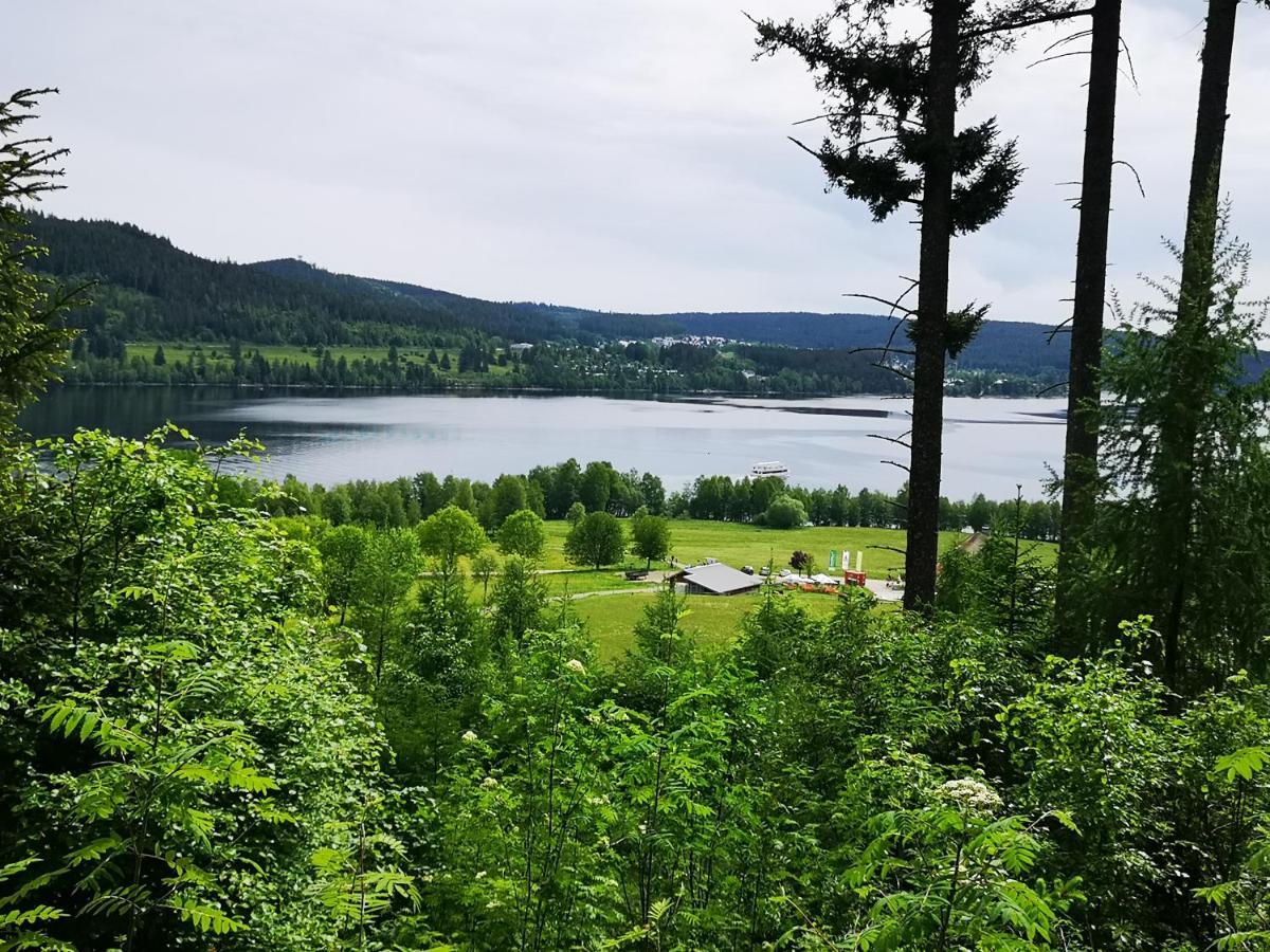 B1 Albmatte-Fewo Sauna, Hallenbad Aussenbecken Massagen Nebenan Menzenschwand-Hinterdorf 외부 사진