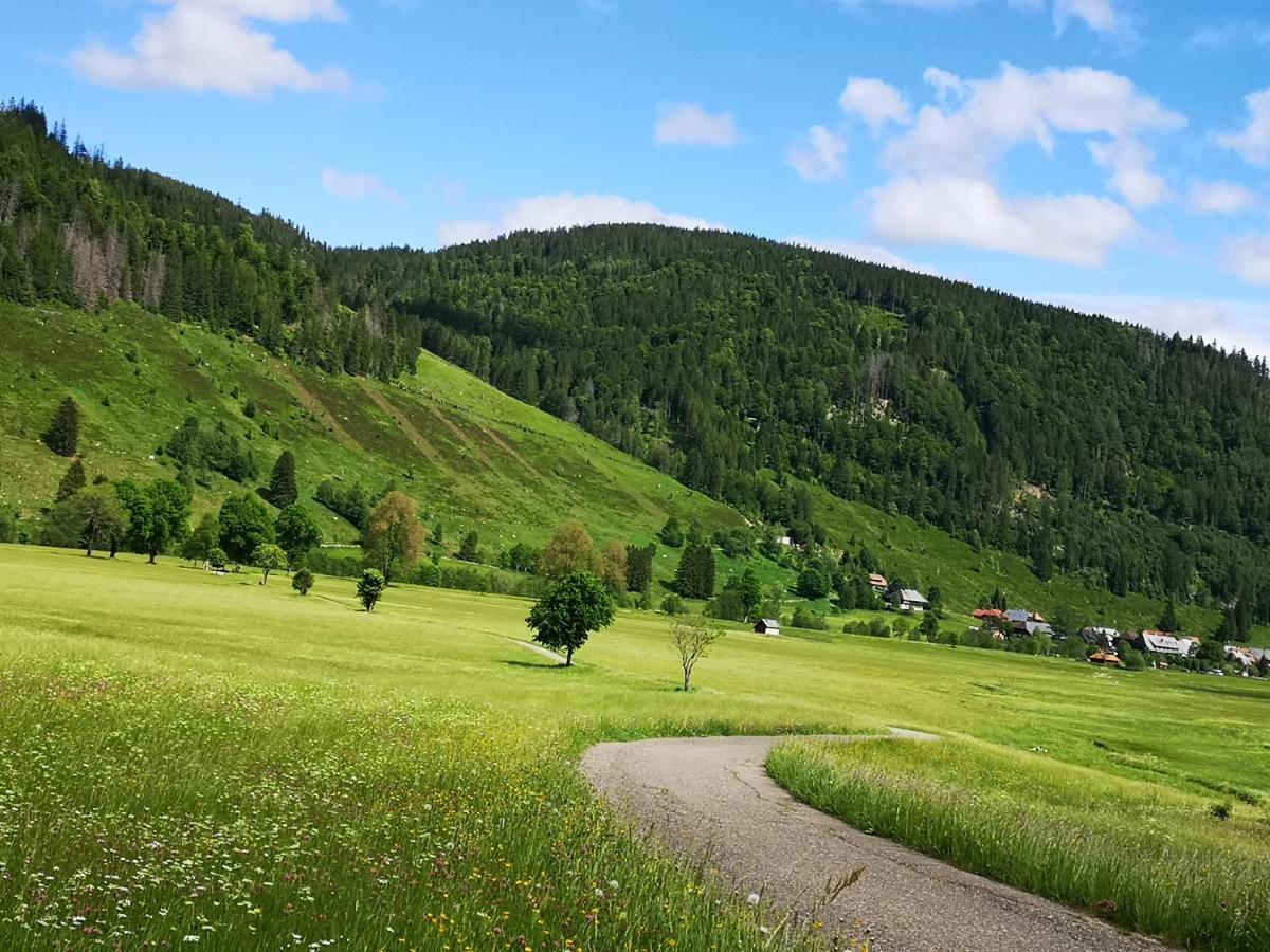 B1 Albmatte-Fewo Sauna, Hallenbad Aussenbecken Massagen Nebenan Menzenschwand-Hinterdorf 외부 사진