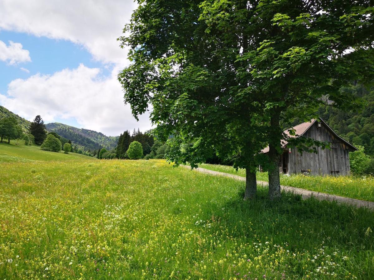 B1 Albmatte-Fewo Sauna, Hallenbad Aussenbecken Massagen Nebenan Menzenschwand-Hinterdorf 외부 사진