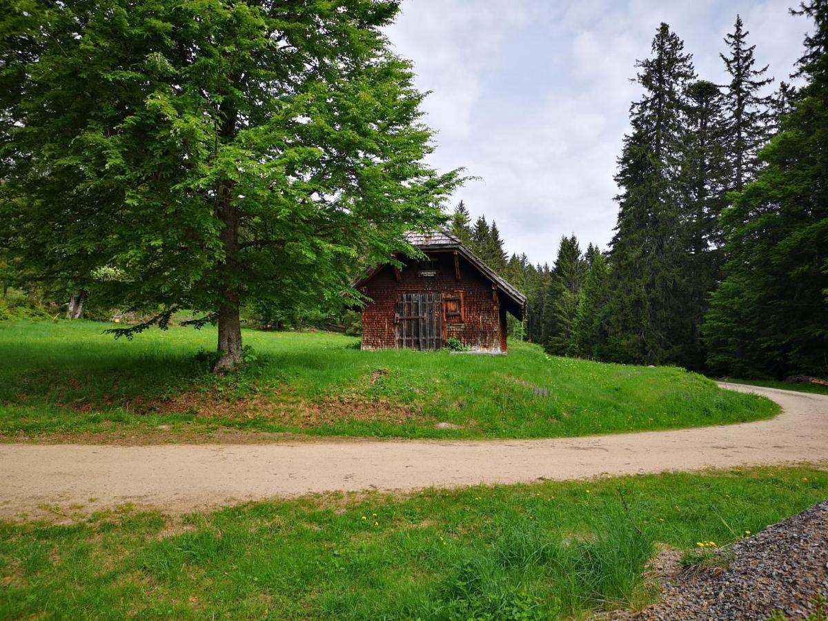 B1 Albmatte-Fewo Sauna, Hallenbad Aussenbecken Massagen Nebenan Menzenschwand-Hinterdorf 외부 사진