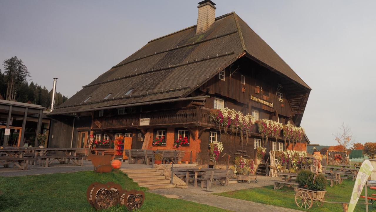 B1 Albmatte-Fewo Sauna, Hallenbad Aussenbecken Massagen Nebenan Menzenschwand-Hinterdorf 외부 사진