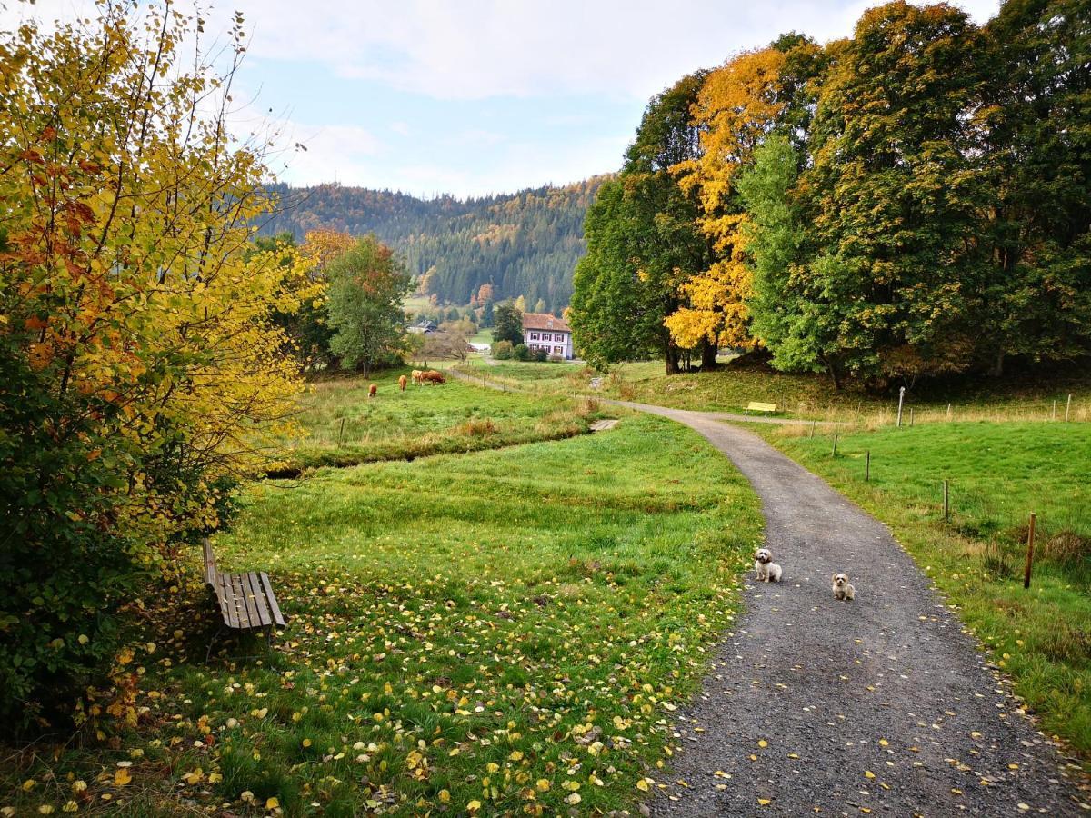 B1 Albmatte-Fewo Sauna, Hallenbad Aussenbecken Massagen Nebenan Menzenschwand-Hinterdorf 외부 사진