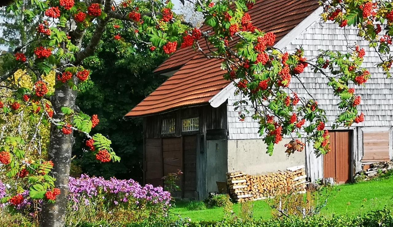 B1 Albmatte-Fewo Sauna, Hallenbad Aussenbecken Massagen Nebenan Menzenschwand-Hinterdorf 외부 사진