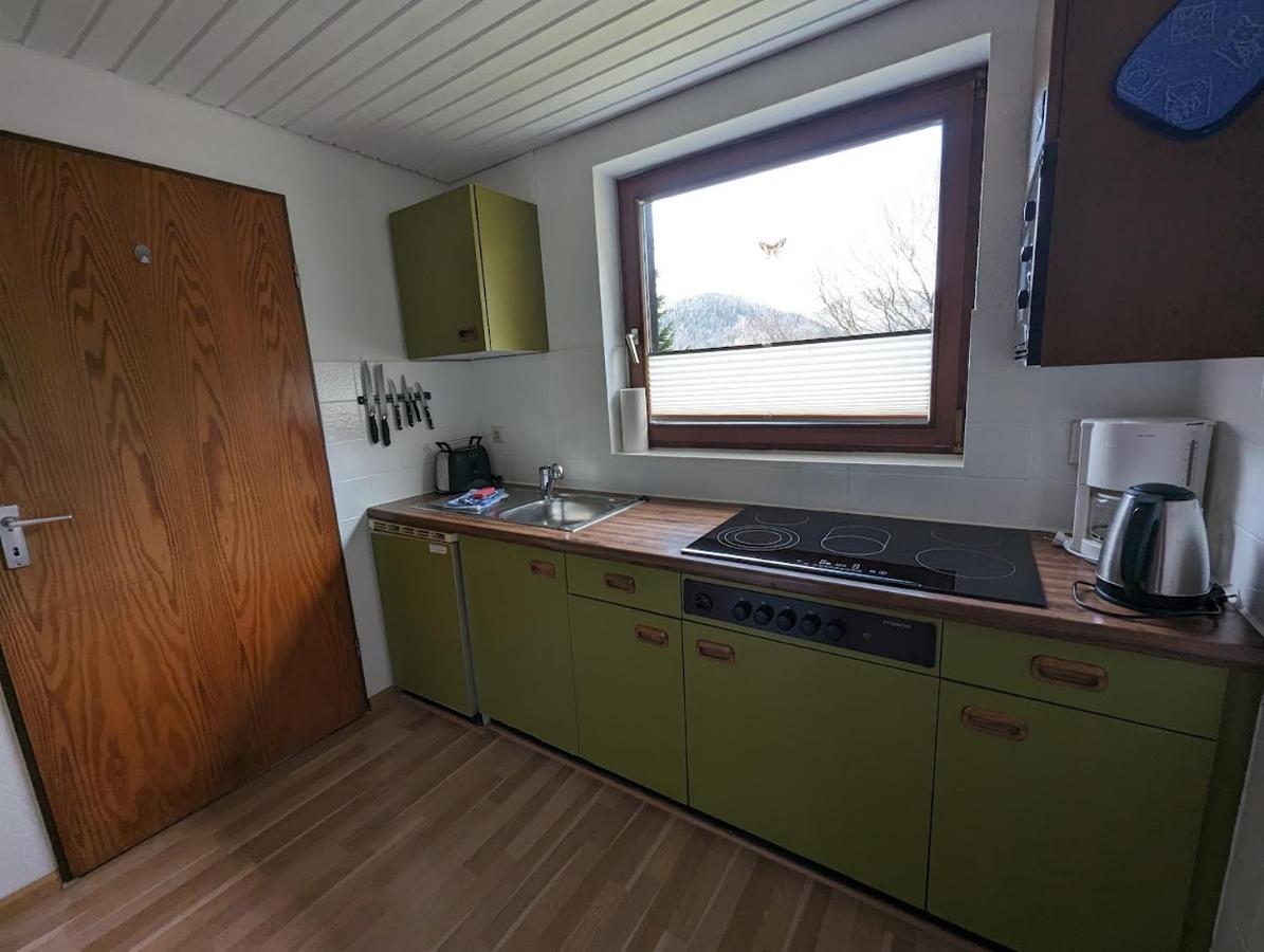 B1 Albmatte-Fewo Sauna, Hallenbad Aussenbecken Massagen Nebenan Menzenschwand-Hinterdorf 외부 사진