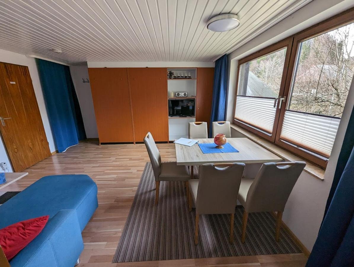B1 Albmatte-Fewo Sauna, Hallenbad Aussenbecken Massagen Nebenan Menzenschwand-Hinterdorf 외부 사진