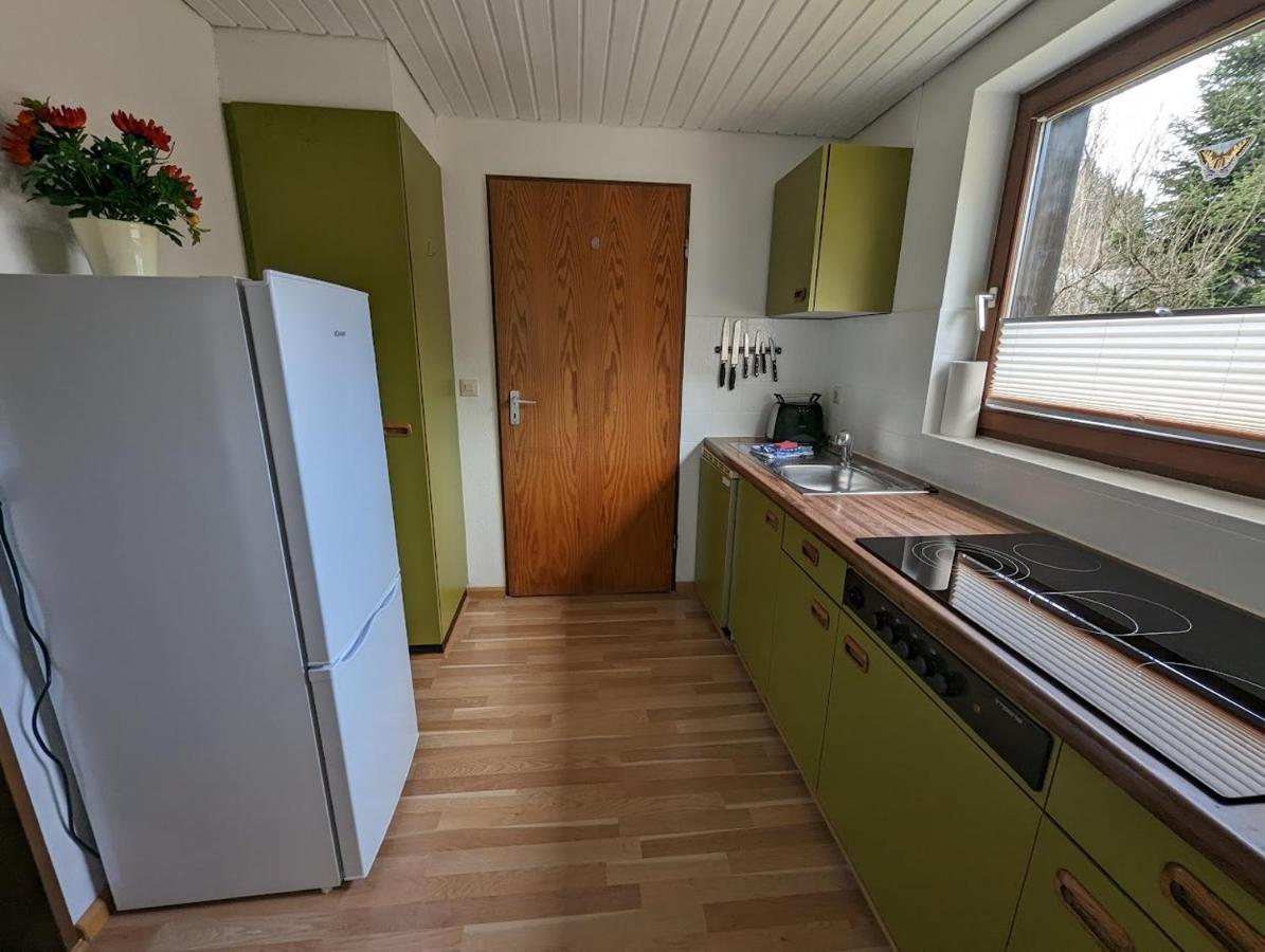 B1 Albmatte-Fewo Sauna, Hallenbad Aussenbecken Massagen Nebenan Menzenschwand-Hinterdorf 외부 사진