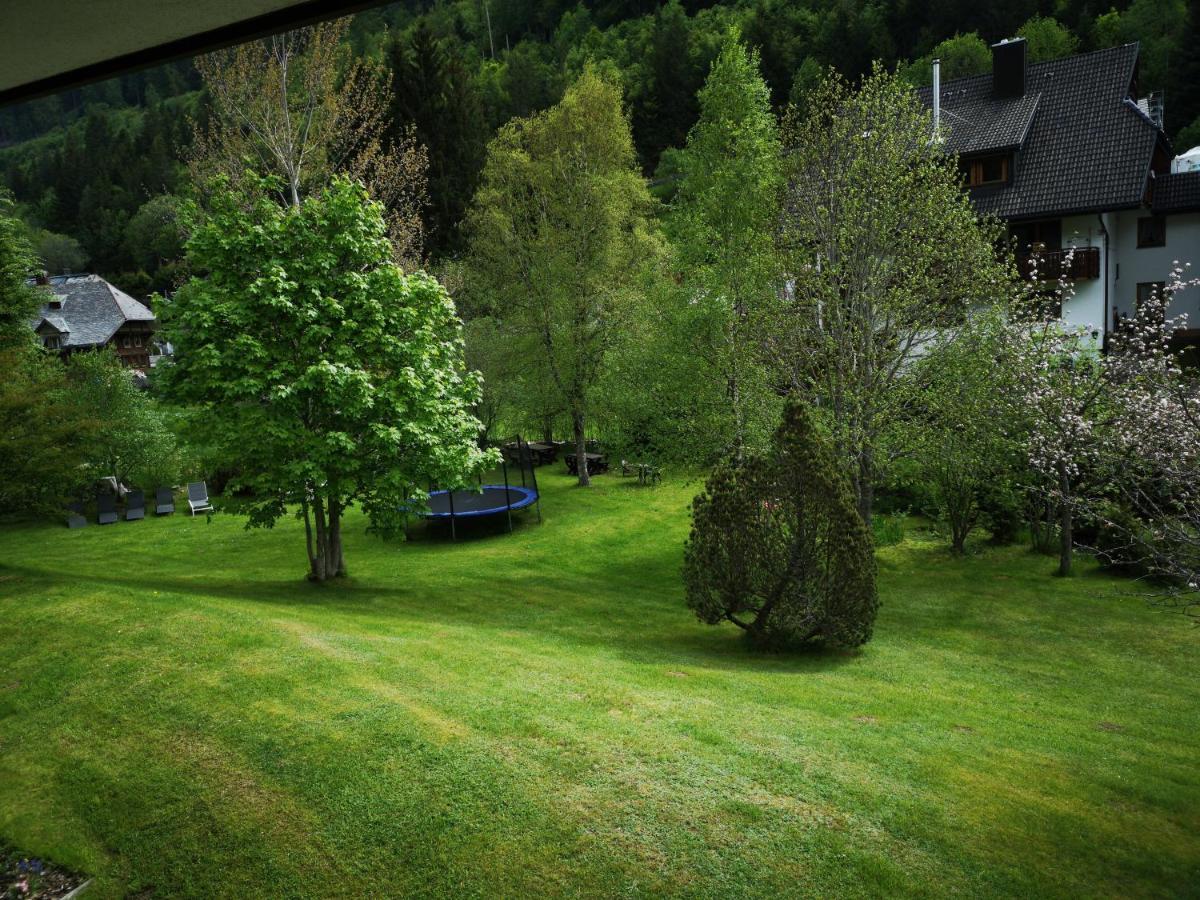 B1 Albmatte-Fewo Sauna, Hallenbad Aussenbecken Massagen Nebenan Menzenschwand-Hinterdorf 외부 사진