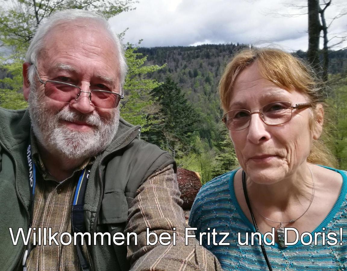 B1 Albmatte-Fewo Sauna, Hallenbad Aussenbecken Massagen Nebenan Menzenschwand-Hinterdorf 외부 사진