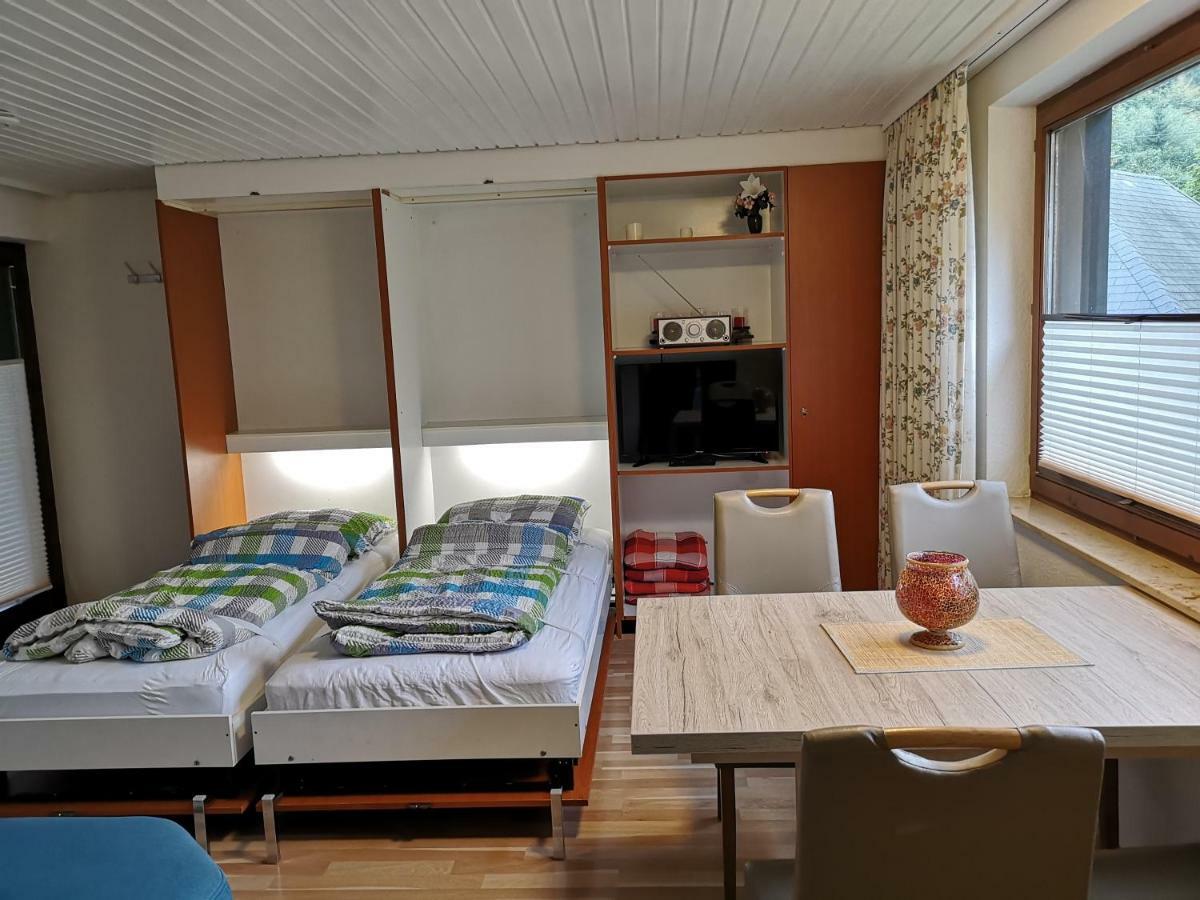 B1 Albmatte-Fewo Sauna, Hallenbad Aussenbecken Massagen Nebenan Menzenschwand-Hinterdorf 외부 사진