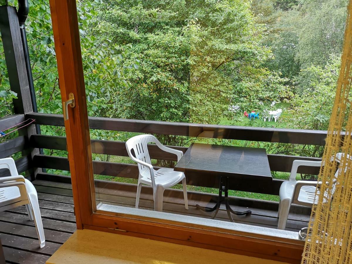 B1 Albmatte-Fewo Sauna, Hallenbad Aussenbecken Massagen Nebenan Menzenschwand-Hinterdorf 외부 사진