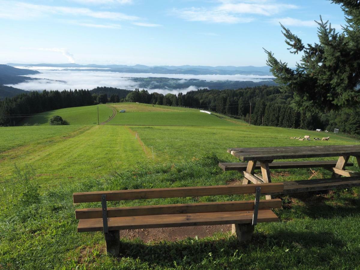 B1 Albmatte-Fewo Sauna, Hallenbad Aussenbecken Massagen Nebenan Menzenschwand-Hinterdorf 외부 사진