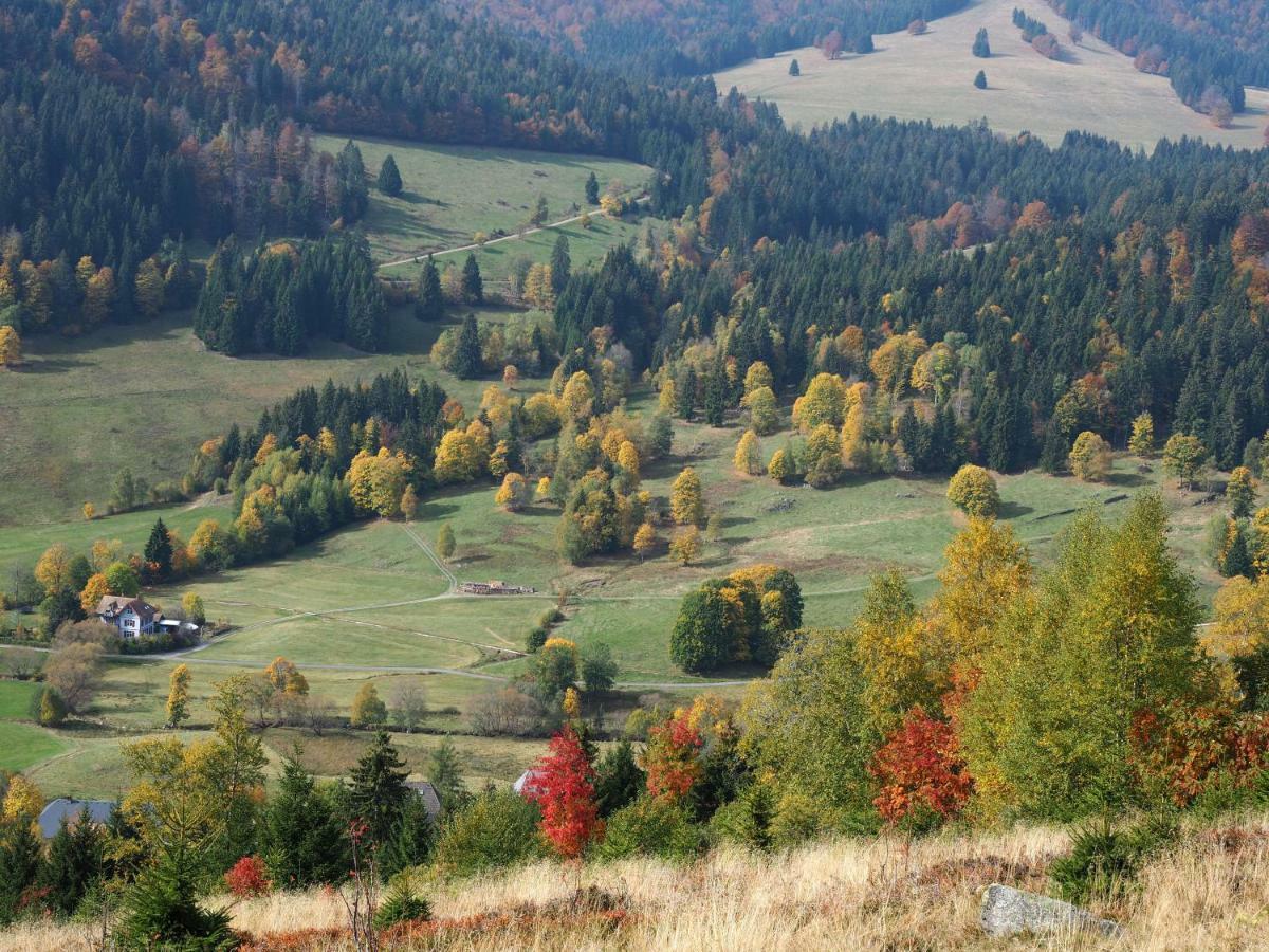 B1 Albmatte-Fewo Sauna, Hallenbad Aussenbecken Massagen Nebenan Menzenschwand-Hinterdorf 외부 사진