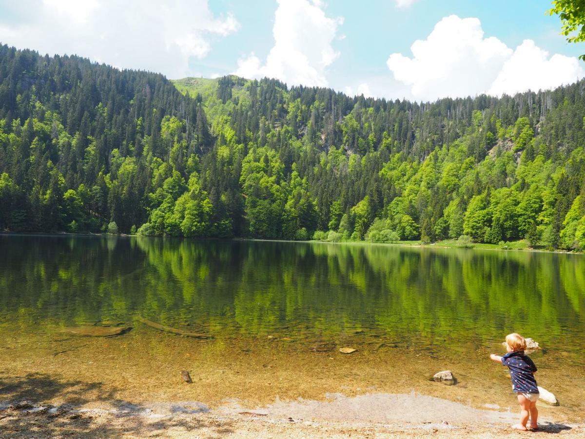 B1 Albmatte-Fewo Sauna, Hallenbad Aussenbecken Massagen Nebenan Menzenschwand-Hinterdorf 외부 사진