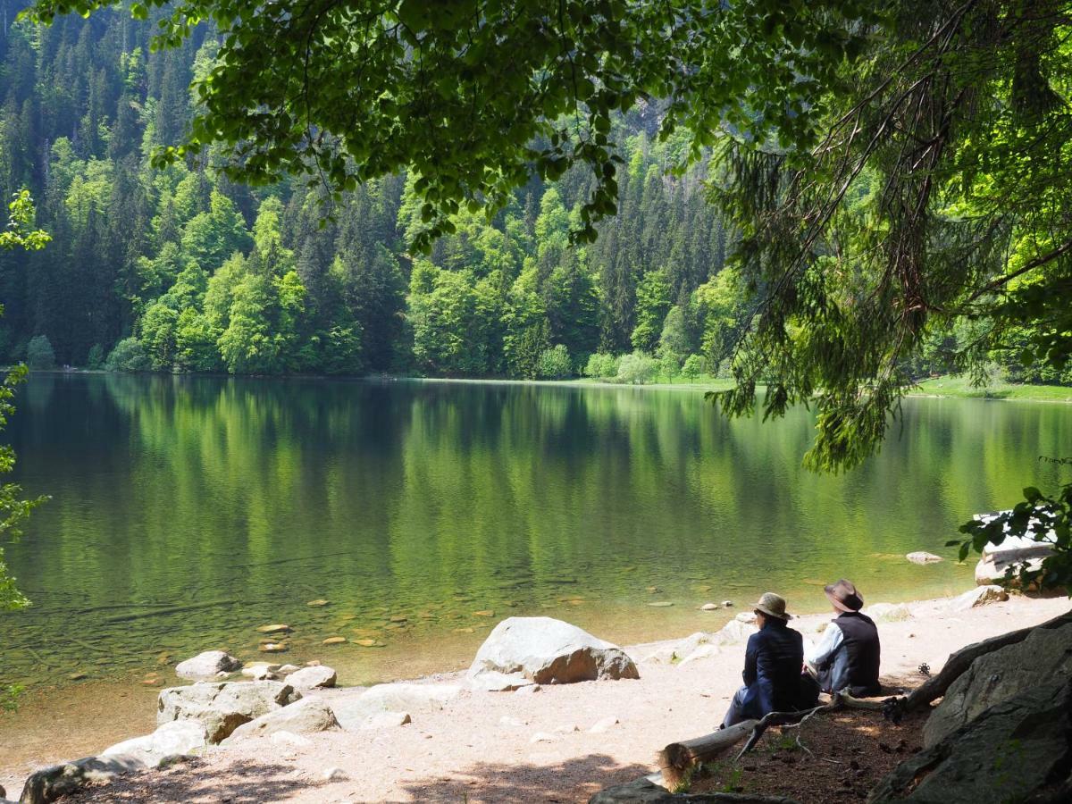 B1 Albmatte-Fewo Sauna, Hallenbad Aussenbecken Massagen Nebenan Menzenschwand-Hinterdorf 외부 사진