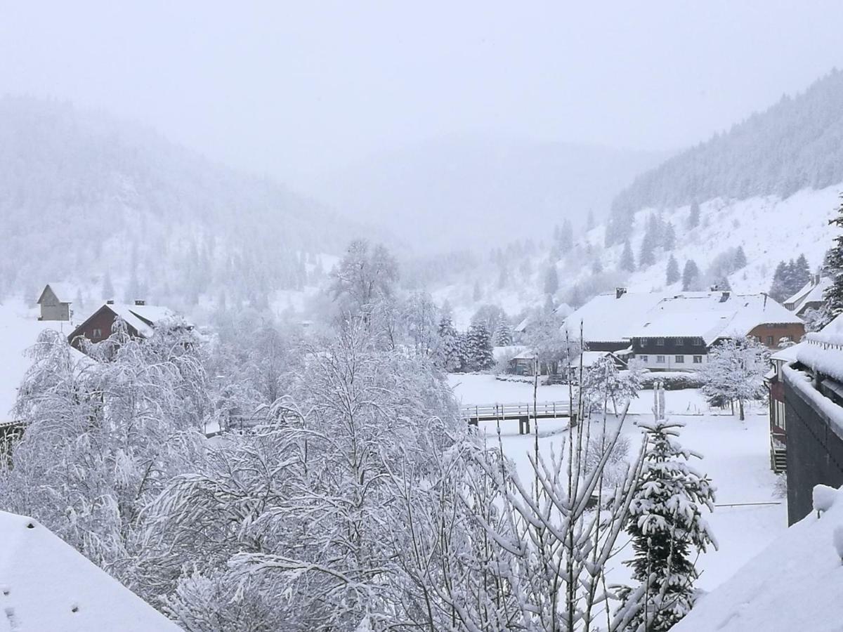 B1 Albmatte-Fewo Sauna, Hallenbad Aussenbecken Massagen Nebenan Menzenschwand-Hinterdorf 외부 사진