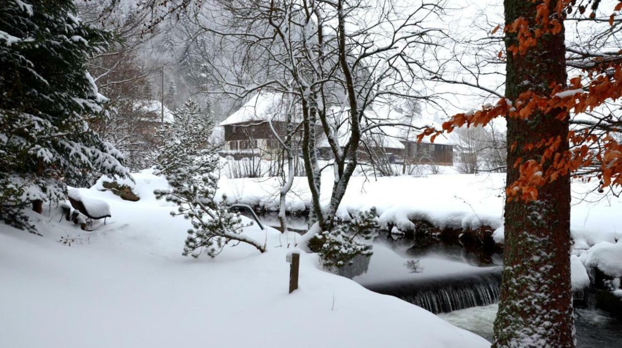 B1 Albmatte-Fewo Sauna, Hallenbad Aussenbecken Massagen Nebenan Menzenschwand-Hinterdorf 외부 사진